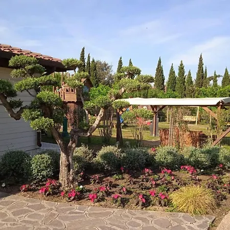 Comfortable Campsite-chalet G16 Tuscany Near Sea Chalet