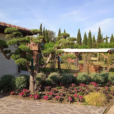 Comfortable Campsite-chalet G16 Tuscany Near Sea