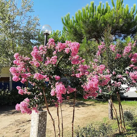 Chalet Comfortable Campsite-chalet G16 Tuscany Near Sea *