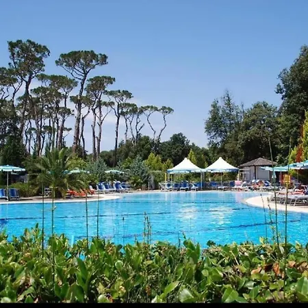 Chalet Comfortable Campsite-chalet G16 Tuscany Near Sea Viareggio