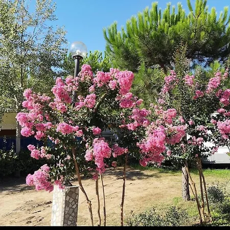 Comfortable Campsite-chalet G16 Tuscany Near Sea *