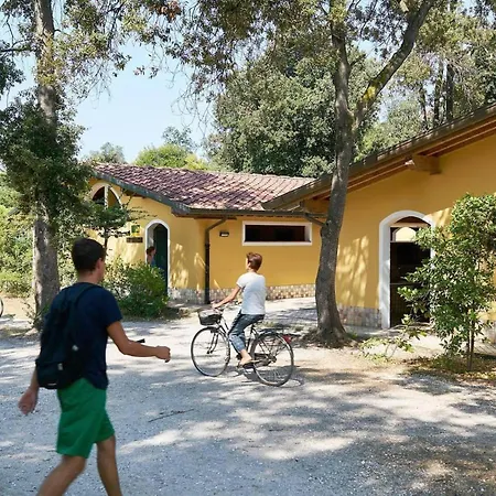 Comfortable Campsite-chalet G16 Tuscany Near Sea