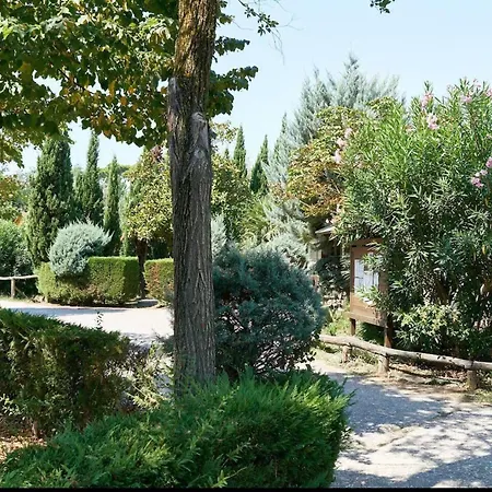 Chalet Comfortable Campsite-chalet G16 Tuscany Near Sea *